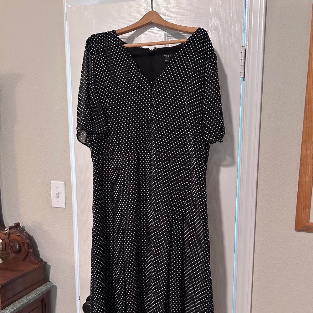 Ann Taylor mid length short sleeve dress size 16 black with small polka dots